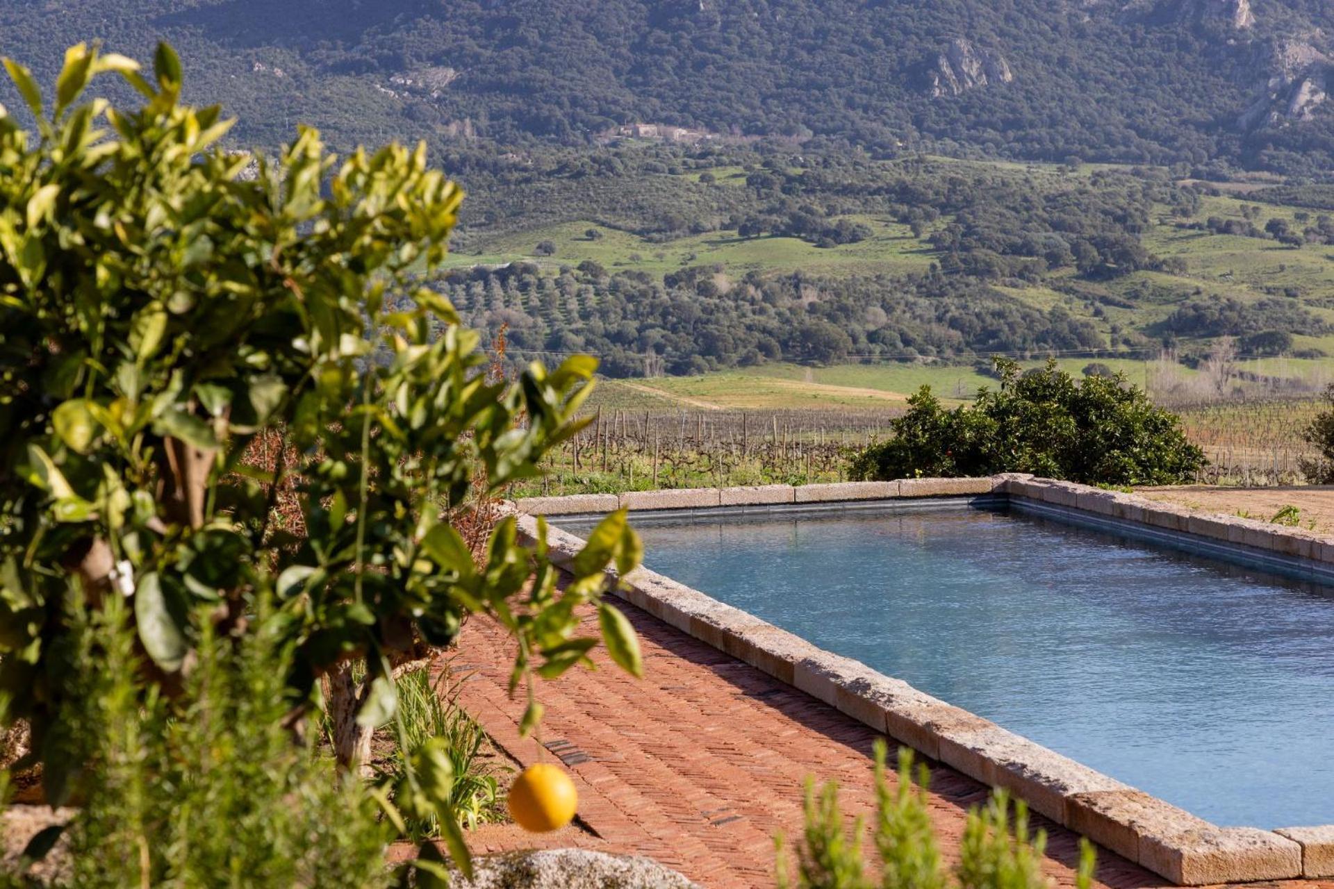 Le Hameau De Saparale Sartène المظهر الخارجي الصورة